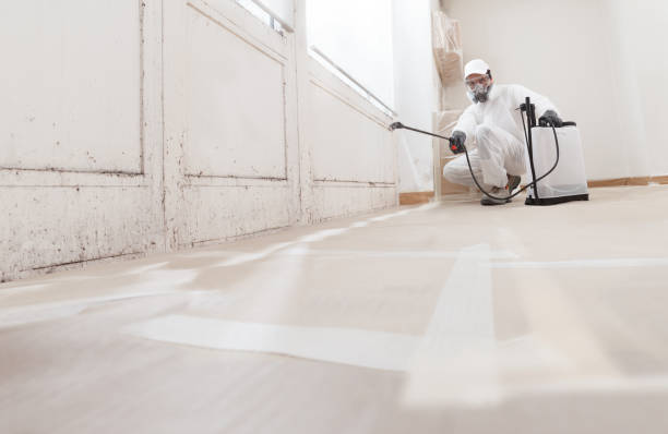 24/7 Emergency Basement Mold Removal experts in Houtzdale, PA